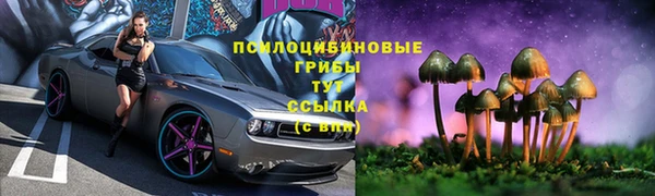 ПСИЛОЦИБИНОВЫЕ ГРИБЫ Балахна