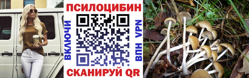 даркнет наркотические препараты  цена наркотик  Красноуральск  Псилоцибиновые грибы мицелий 